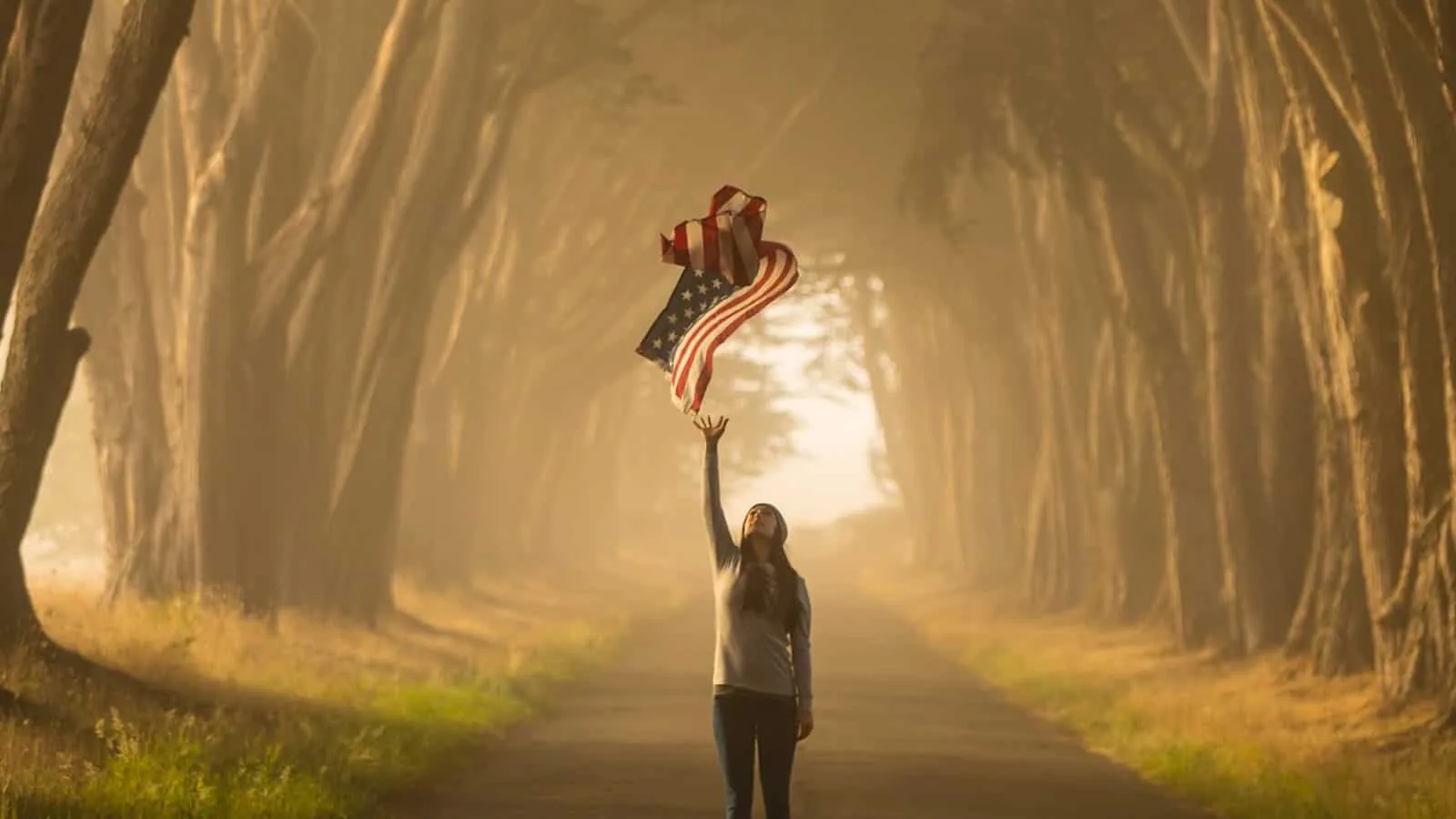 Fly US Flag