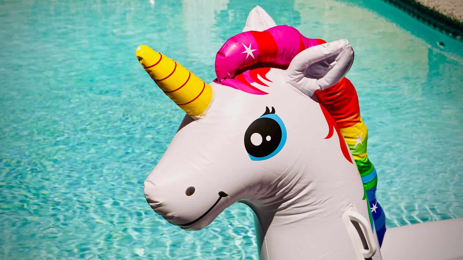 unicorn