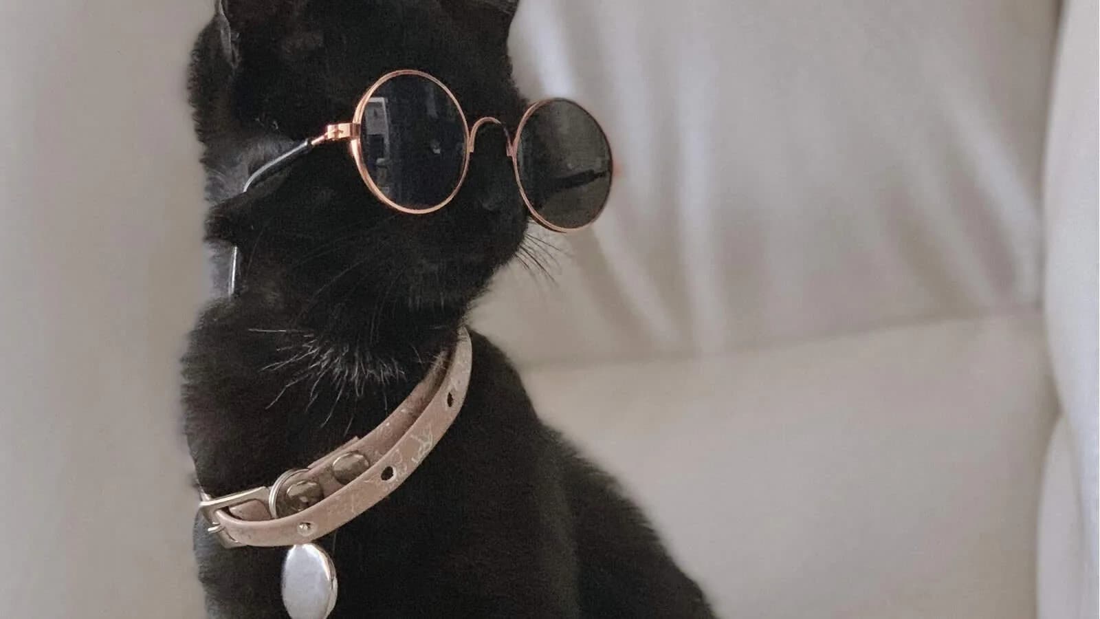 hipster