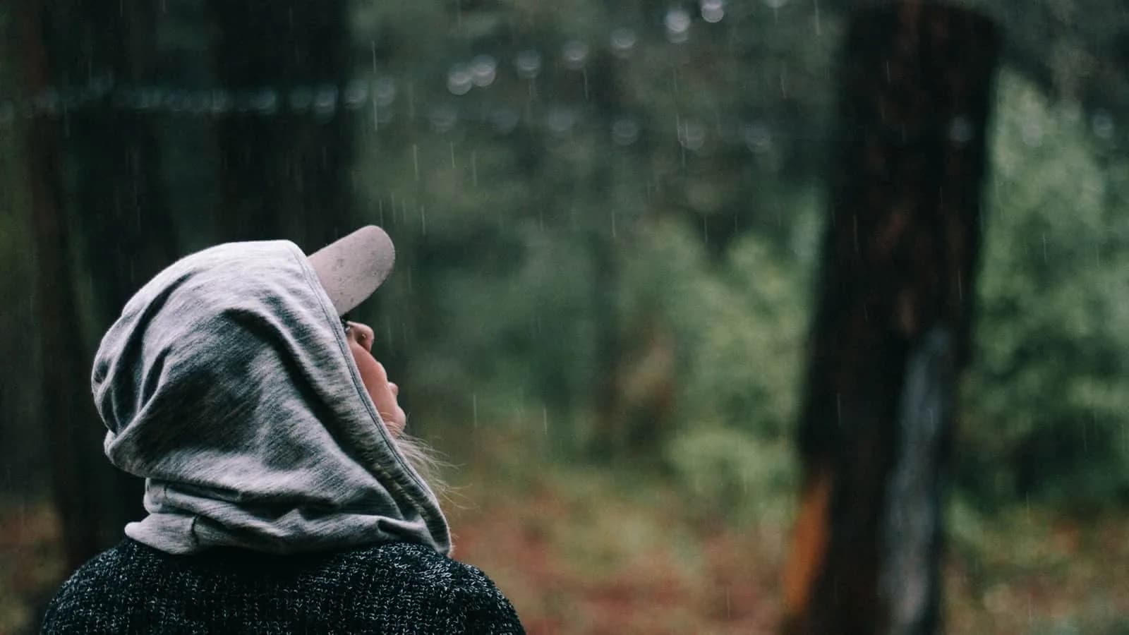 Rain Shelter