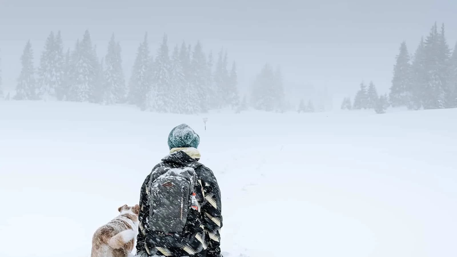 Snow Shelter