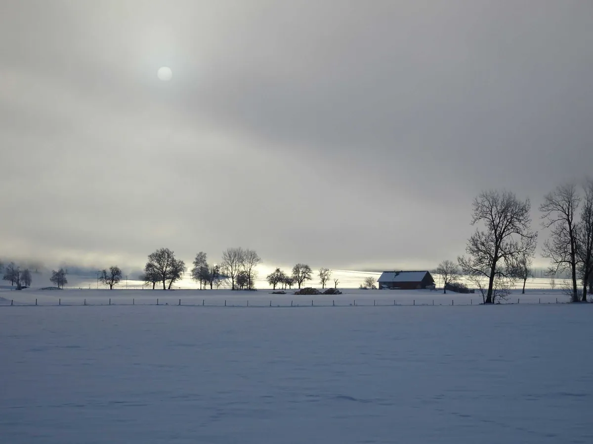 Sherman Buildings — How winter weather impacts the longevity of post frame structures and how to prepare 2026 01 hubertus bose oqtvbfcli8 unsplash