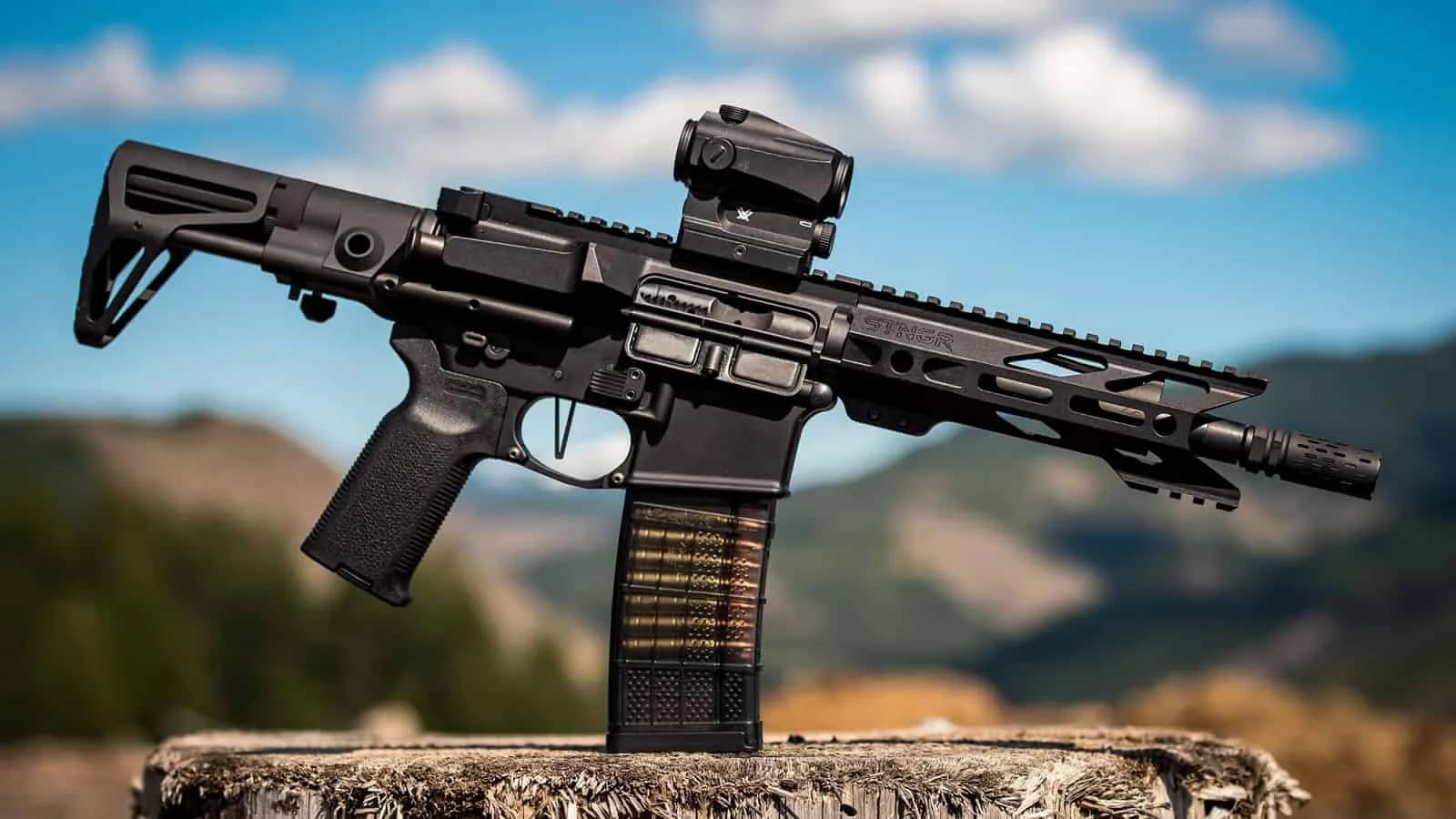 AR 15