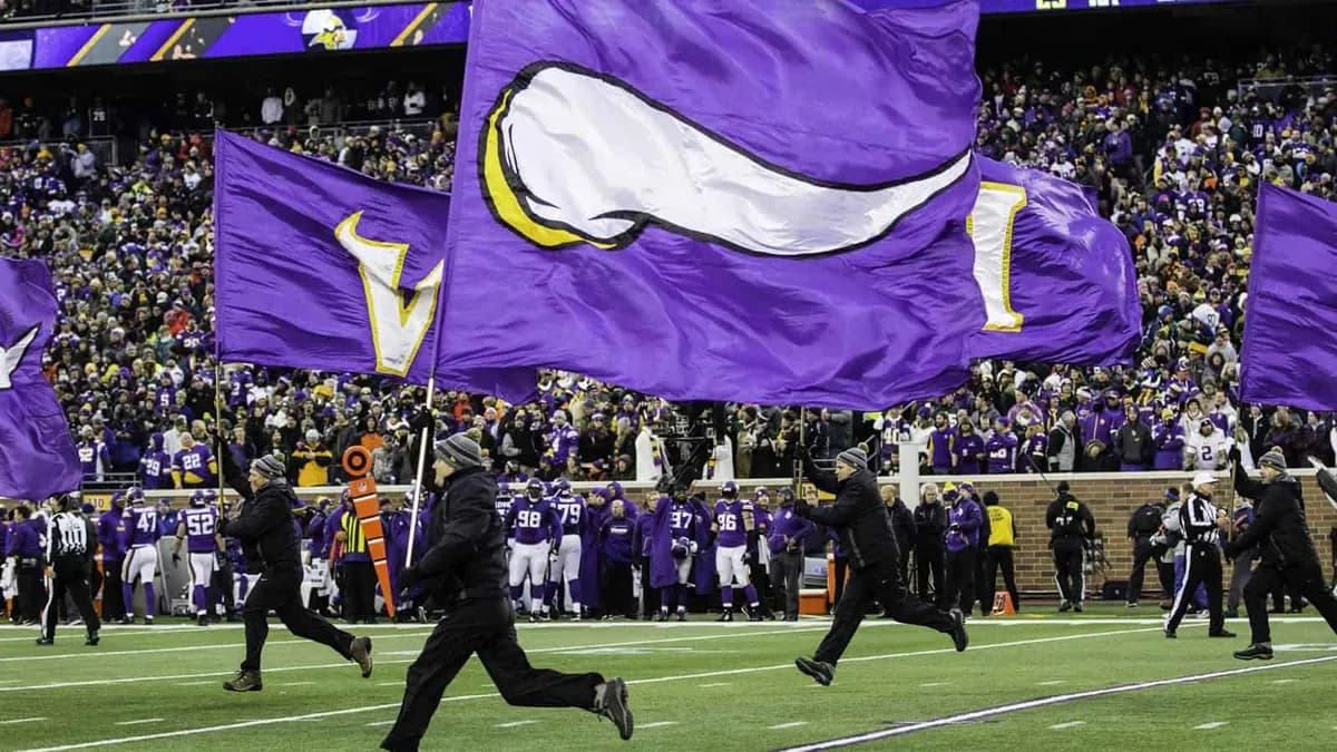 Viking flags