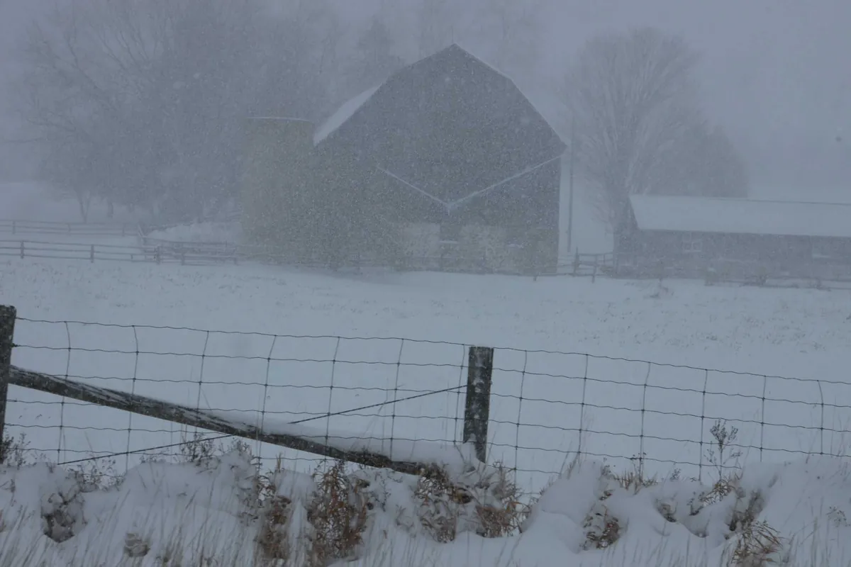 snow covered land and barn