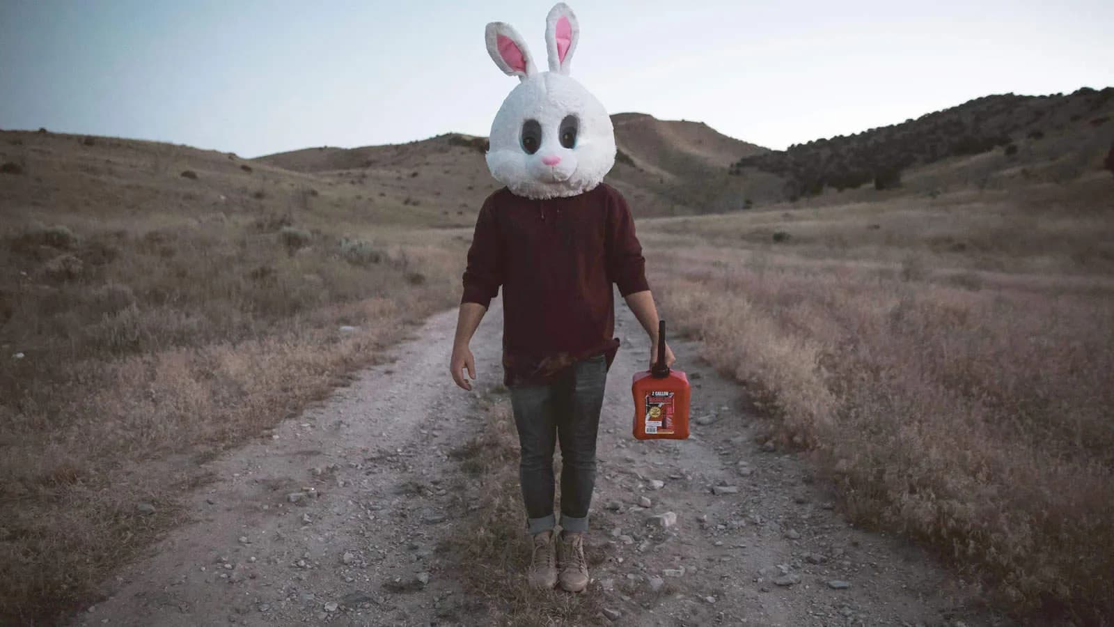 Rabbit