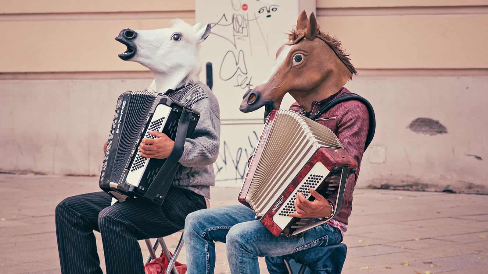 Insane Donkeys