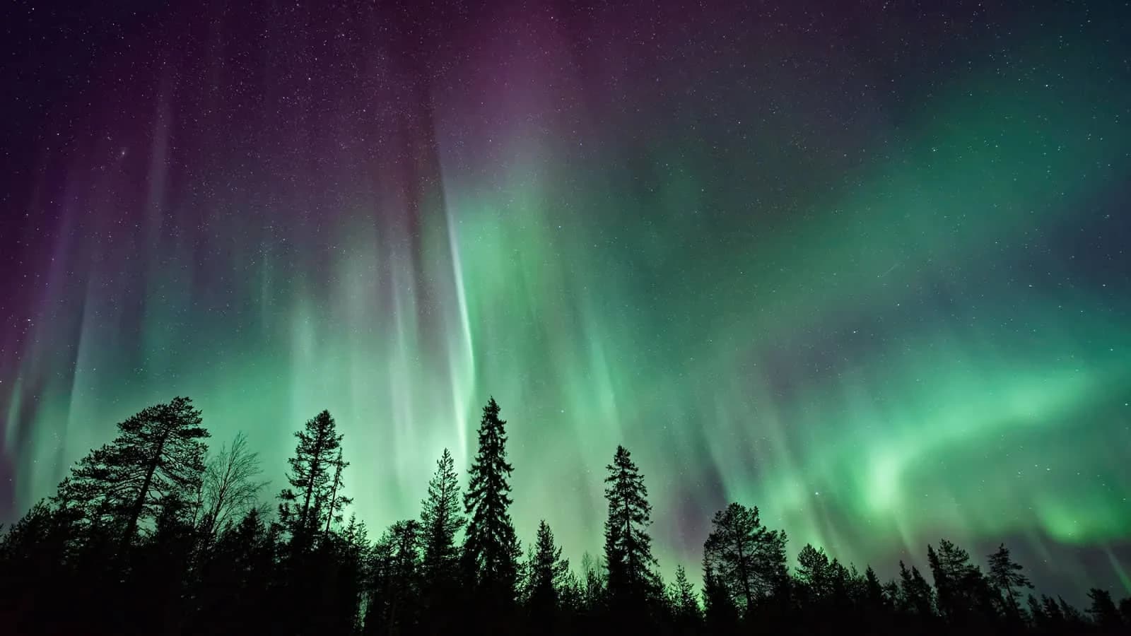 Northern Lights