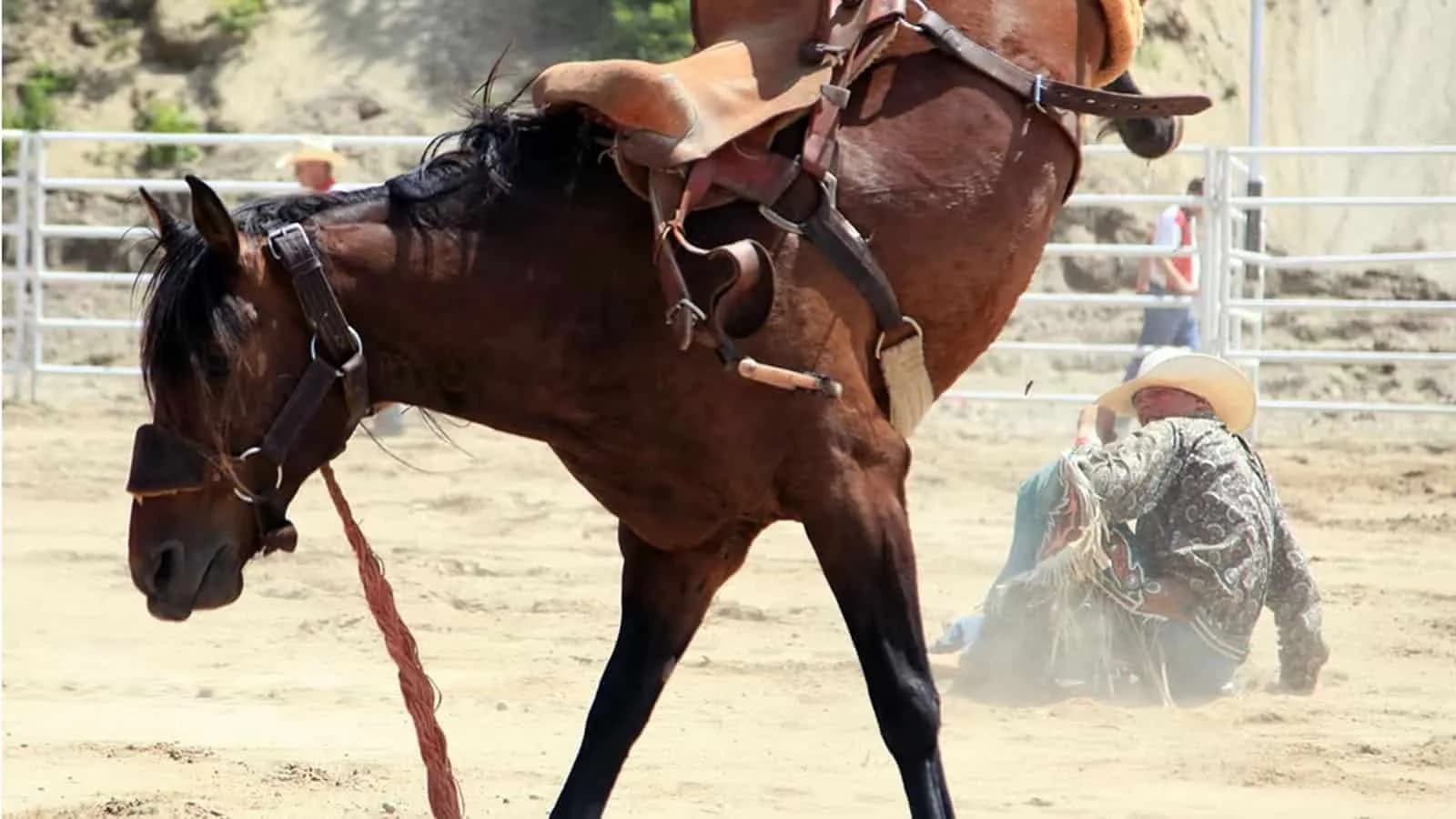 Bucked Off