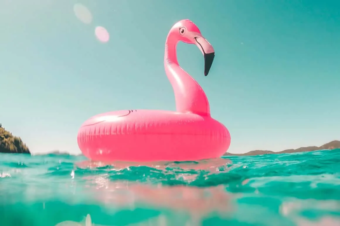 Pink Flamingo