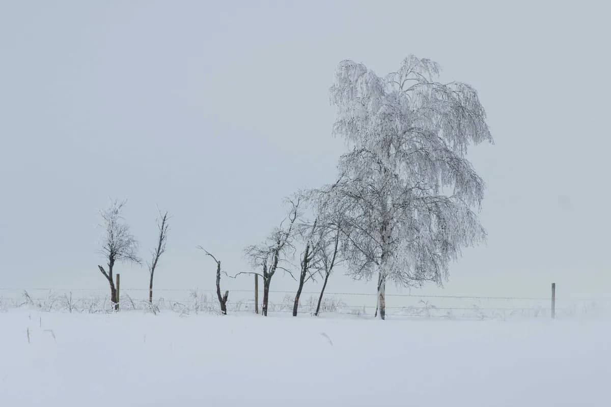 Minnesota winter snowstorm