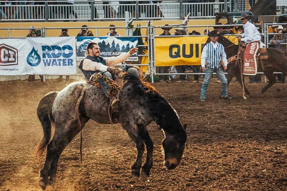 Sherman Buildings — Not my first rodeo 2019 07 rodeo not first sherman pb 1