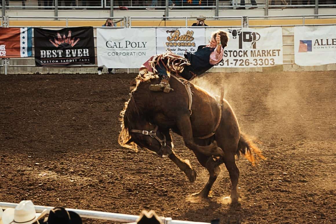 Sherman Buildings — Not my first rodeo 2019 07 rodeo not first sherman