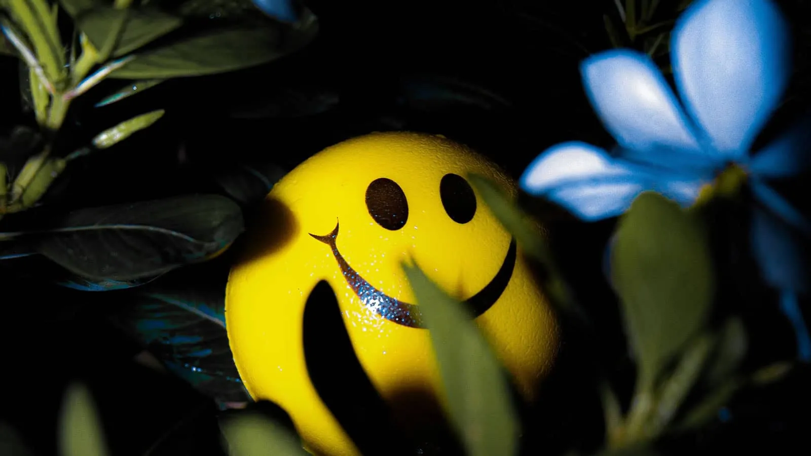 don't worry be happy