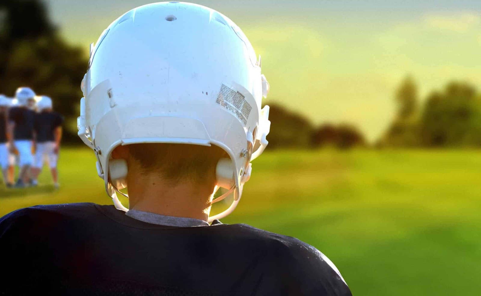 Sherman Buildings — Same thing different name 2019 05 sherman football