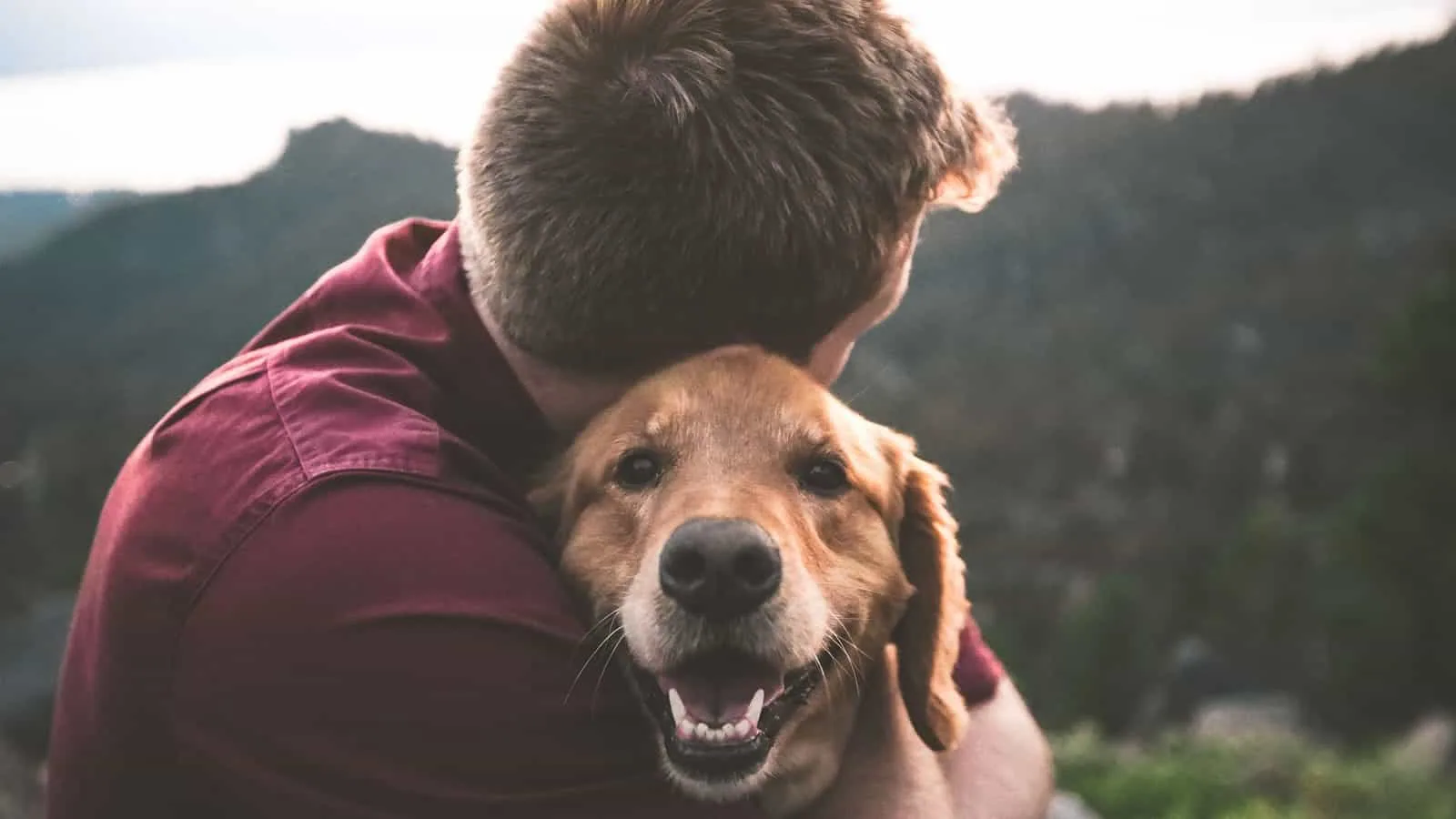 Pup