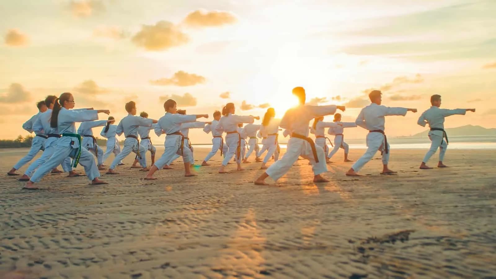 Kung Fu Class