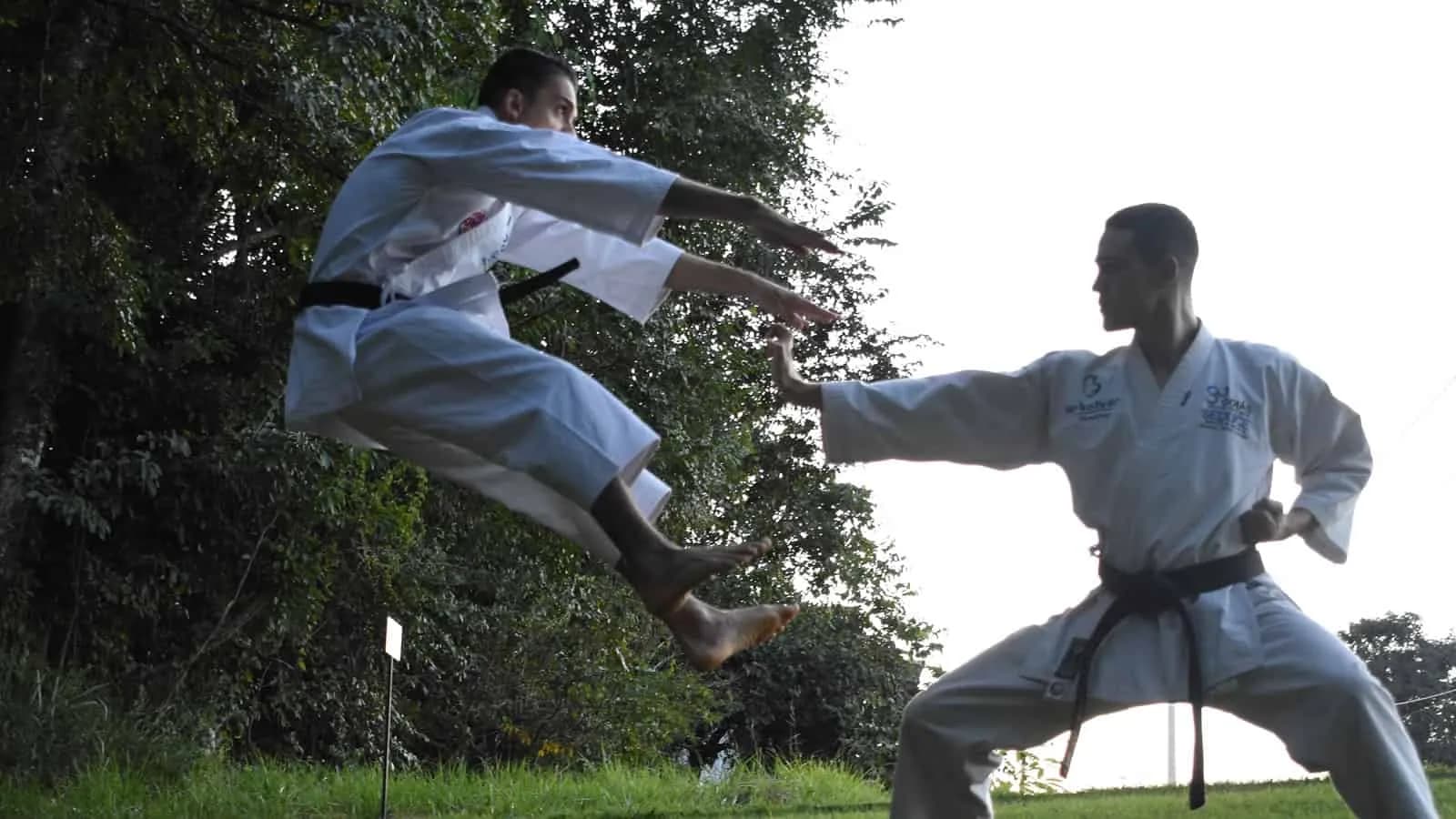 Kung Fu Fighting