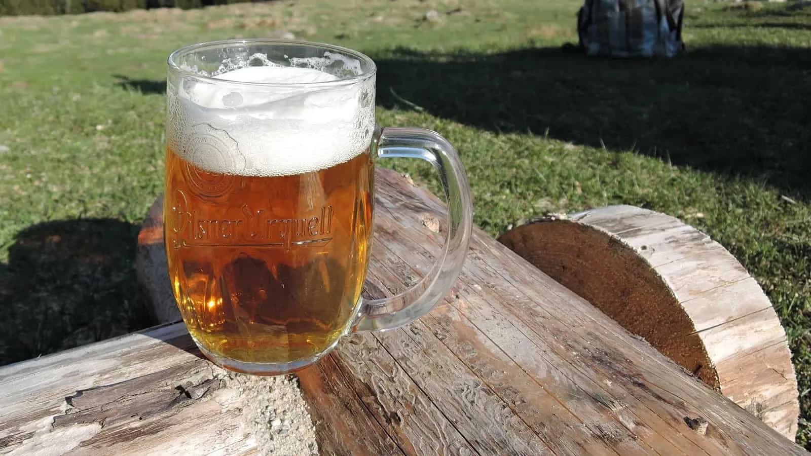 Pitcher of Beer
