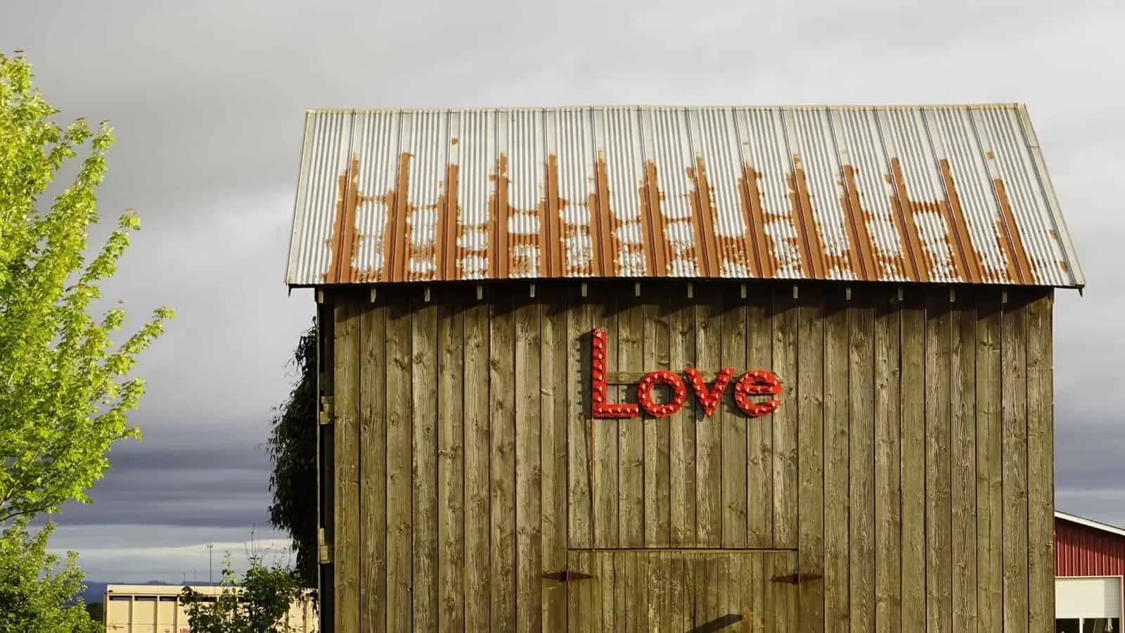 Love Shack