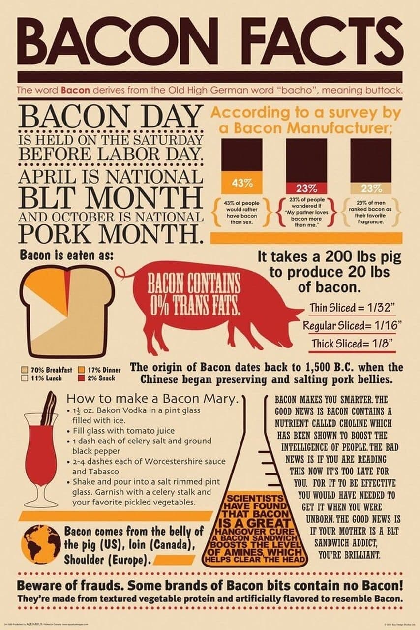 Bacon Wrapped Bacon