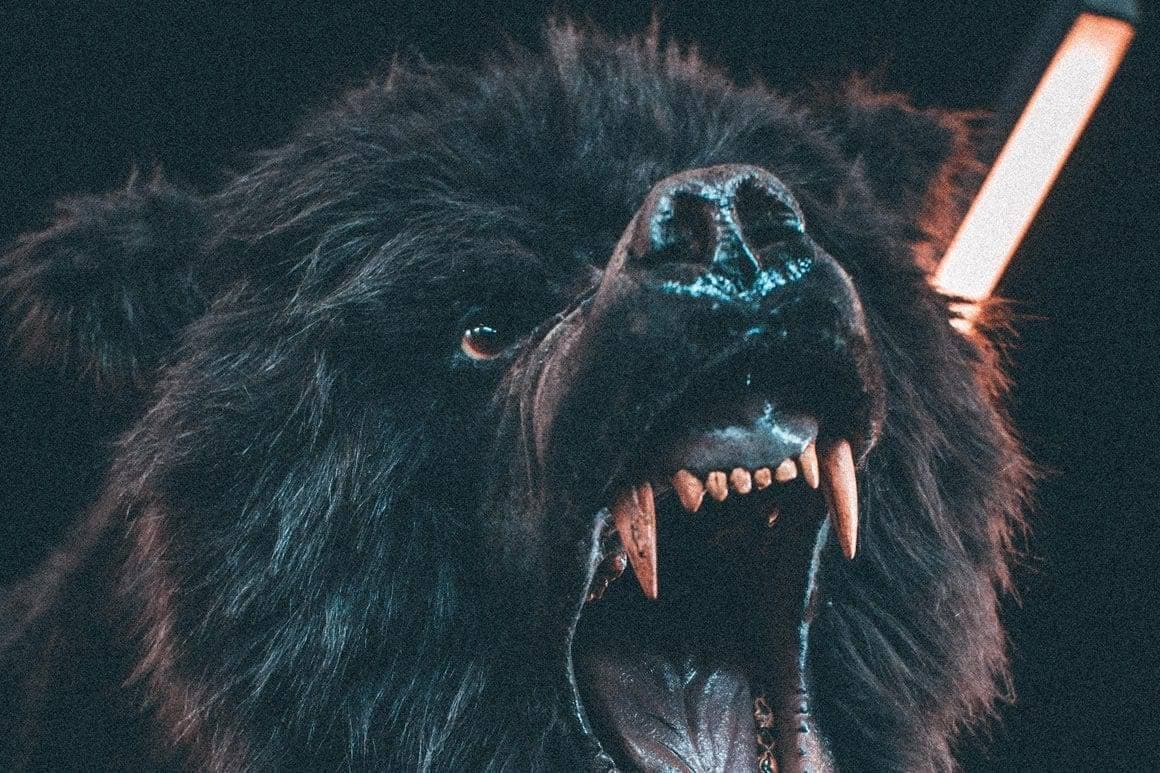 Sherman Buildings — The ultimate outdoorsmen 2019 02 bear