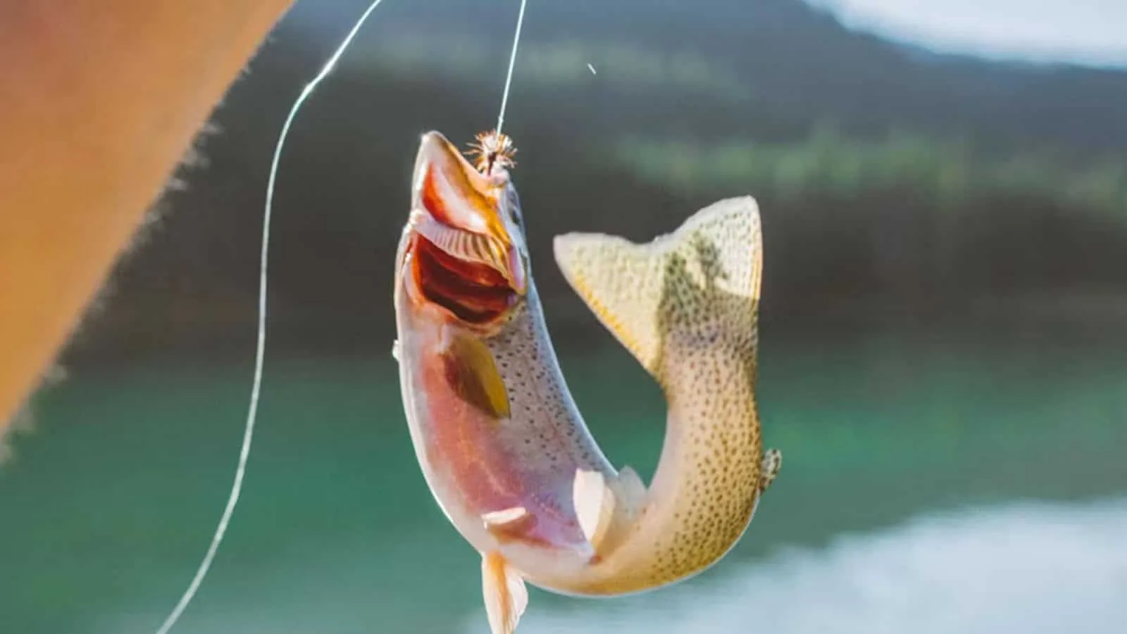 fishing