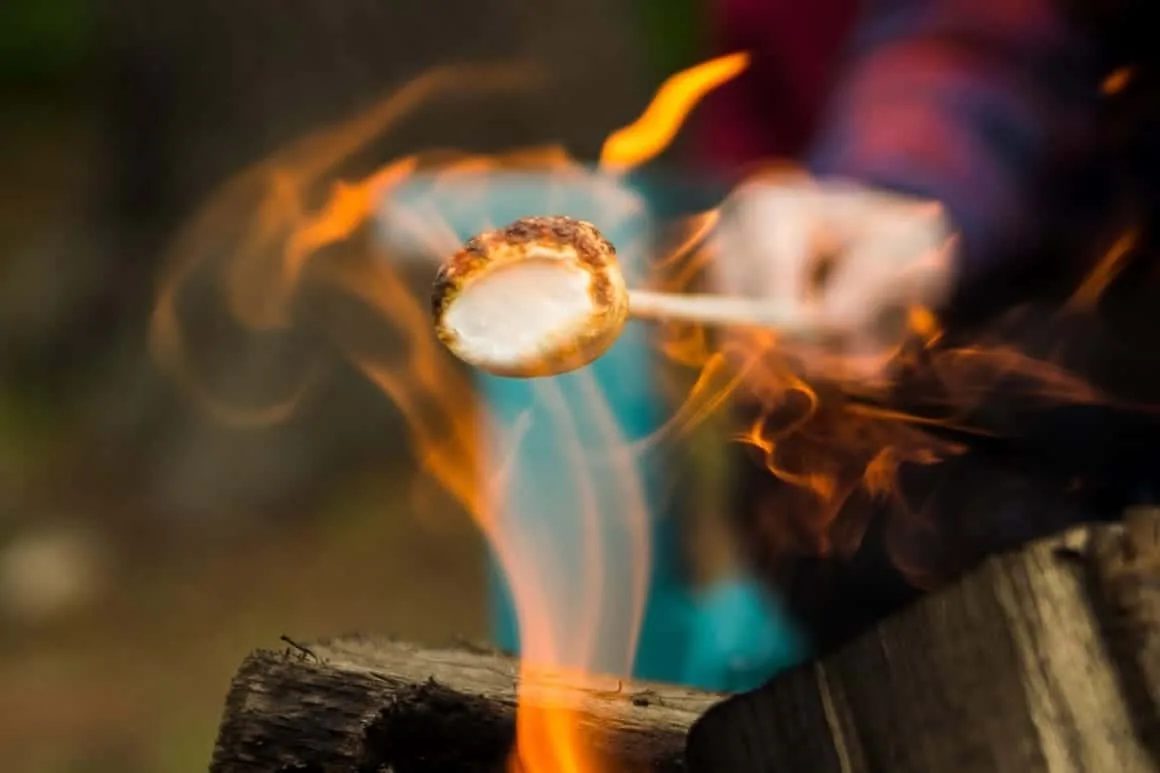 Roast Marshmellows