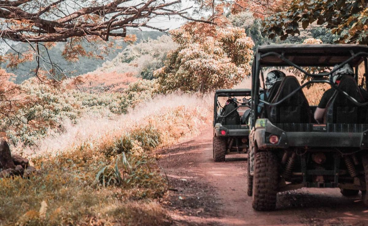 Side by side on trails
