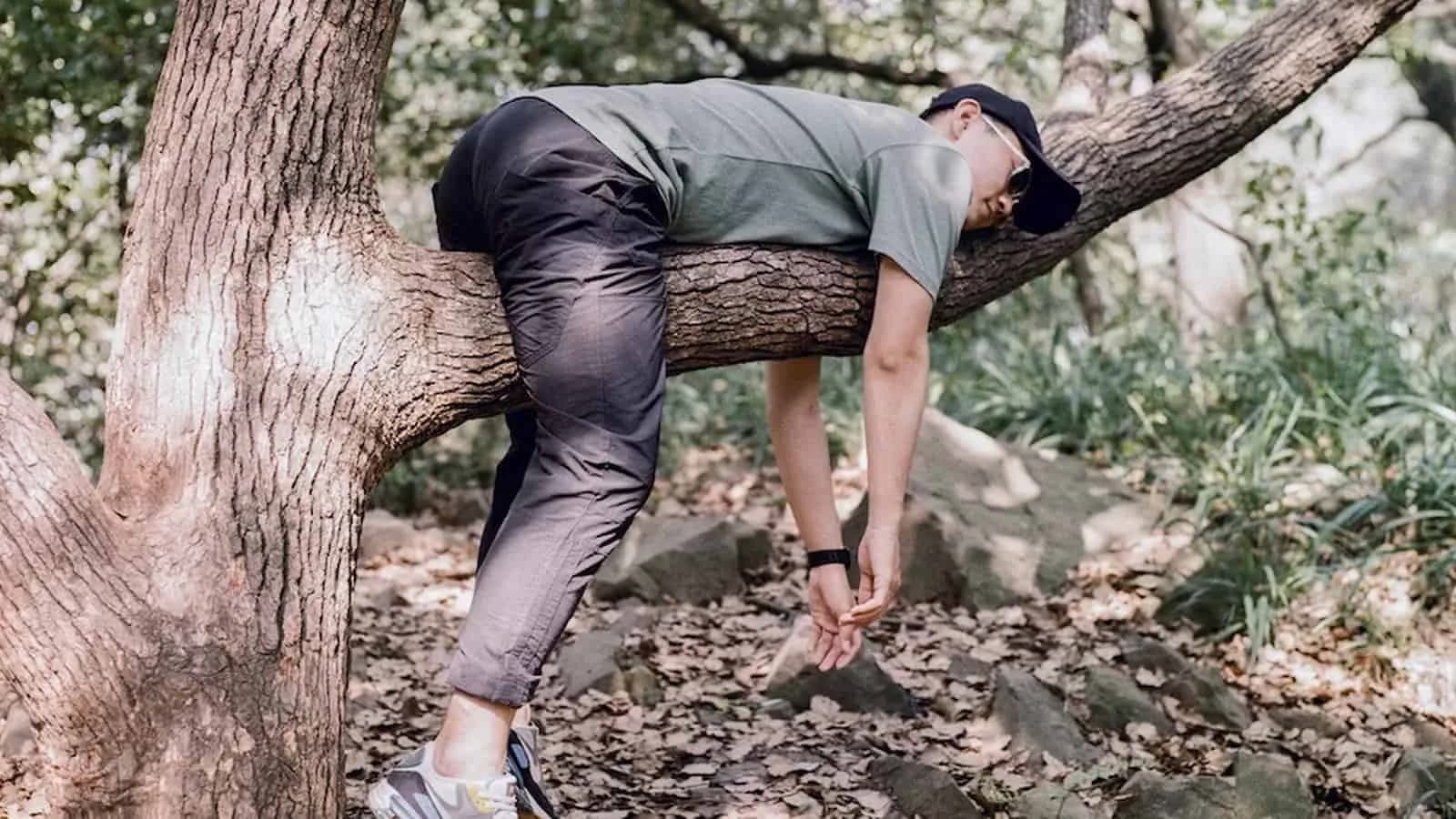 Lazy Tree