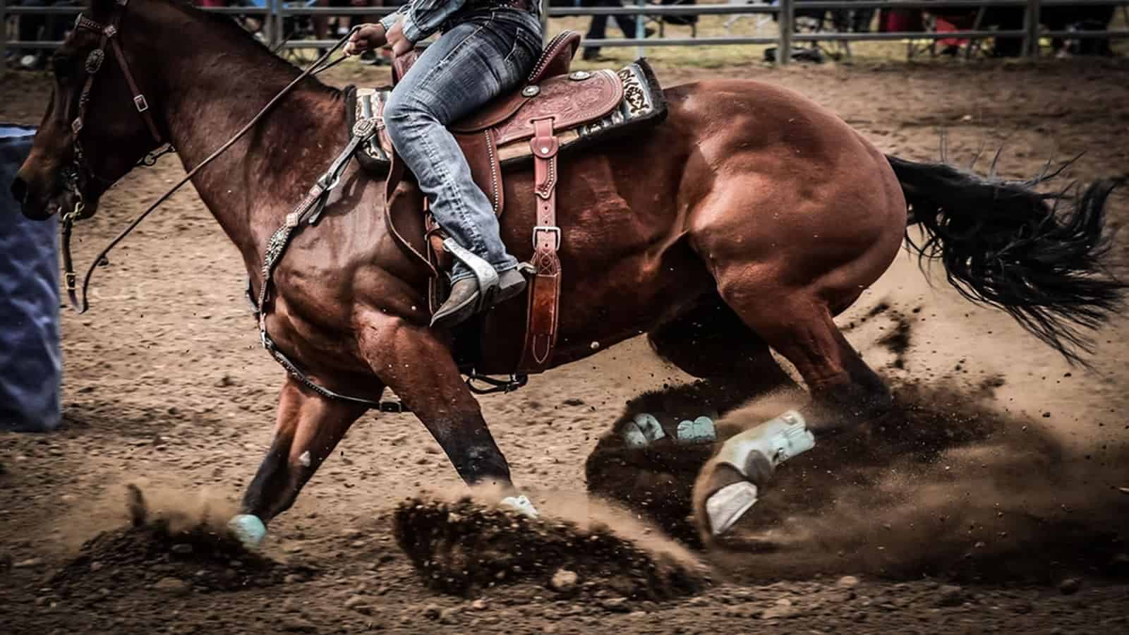 Living This Dream They Call Rodeo