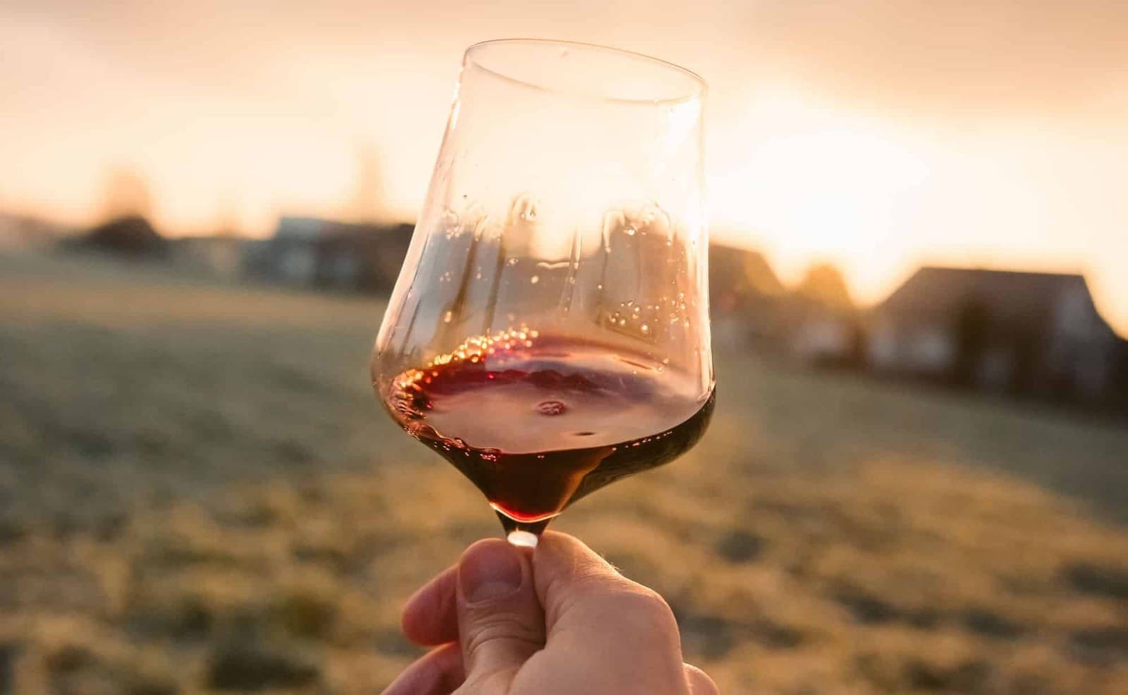 Moonshine or Wine, It's All Fine