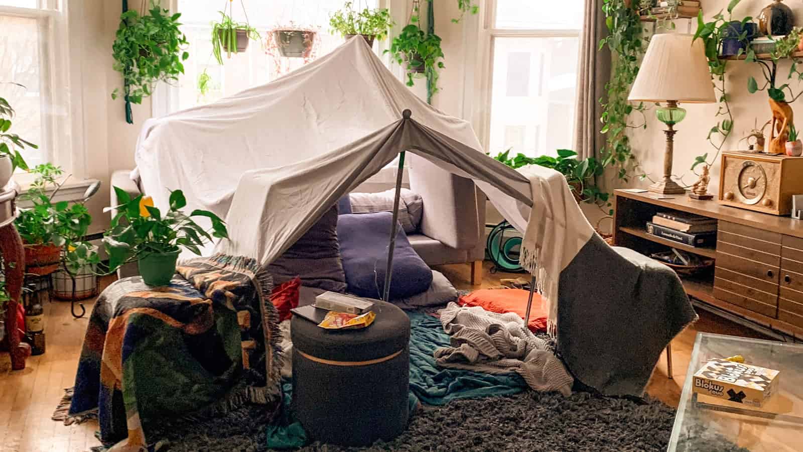 My Wife Accused Me Of Being Immature So I Told Her To Get Out Of My Fort