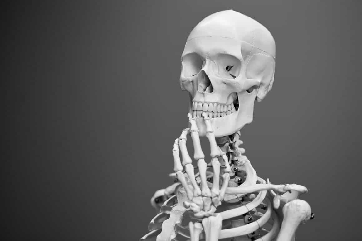 The House Won't Fall When the Bones Are Good