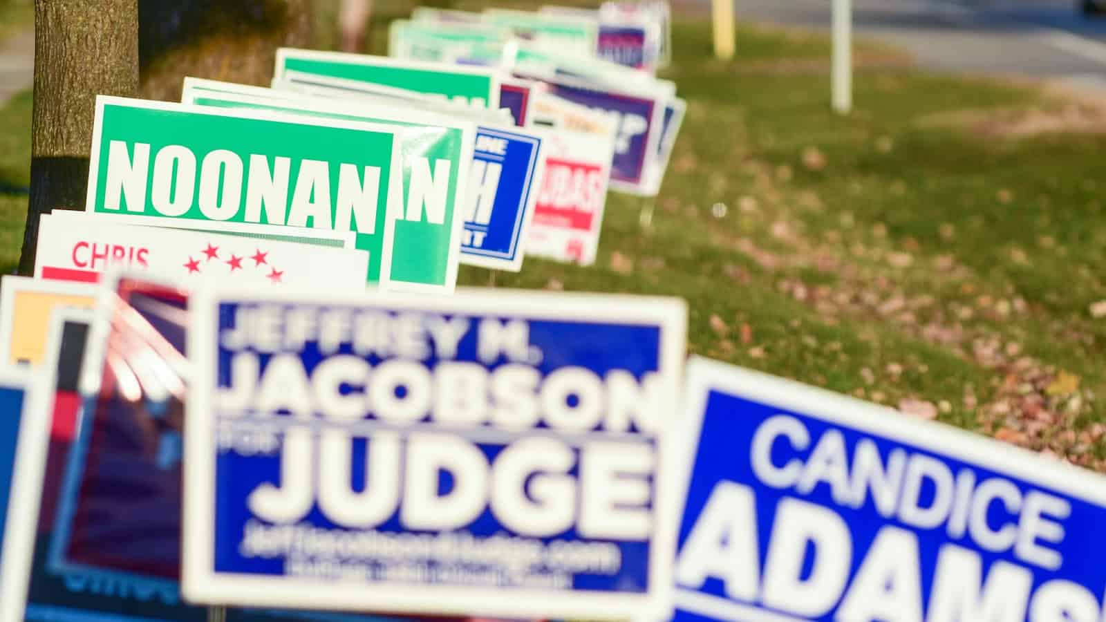 Got Confused By All The Yard Signs And Think I Voted For A Realtor