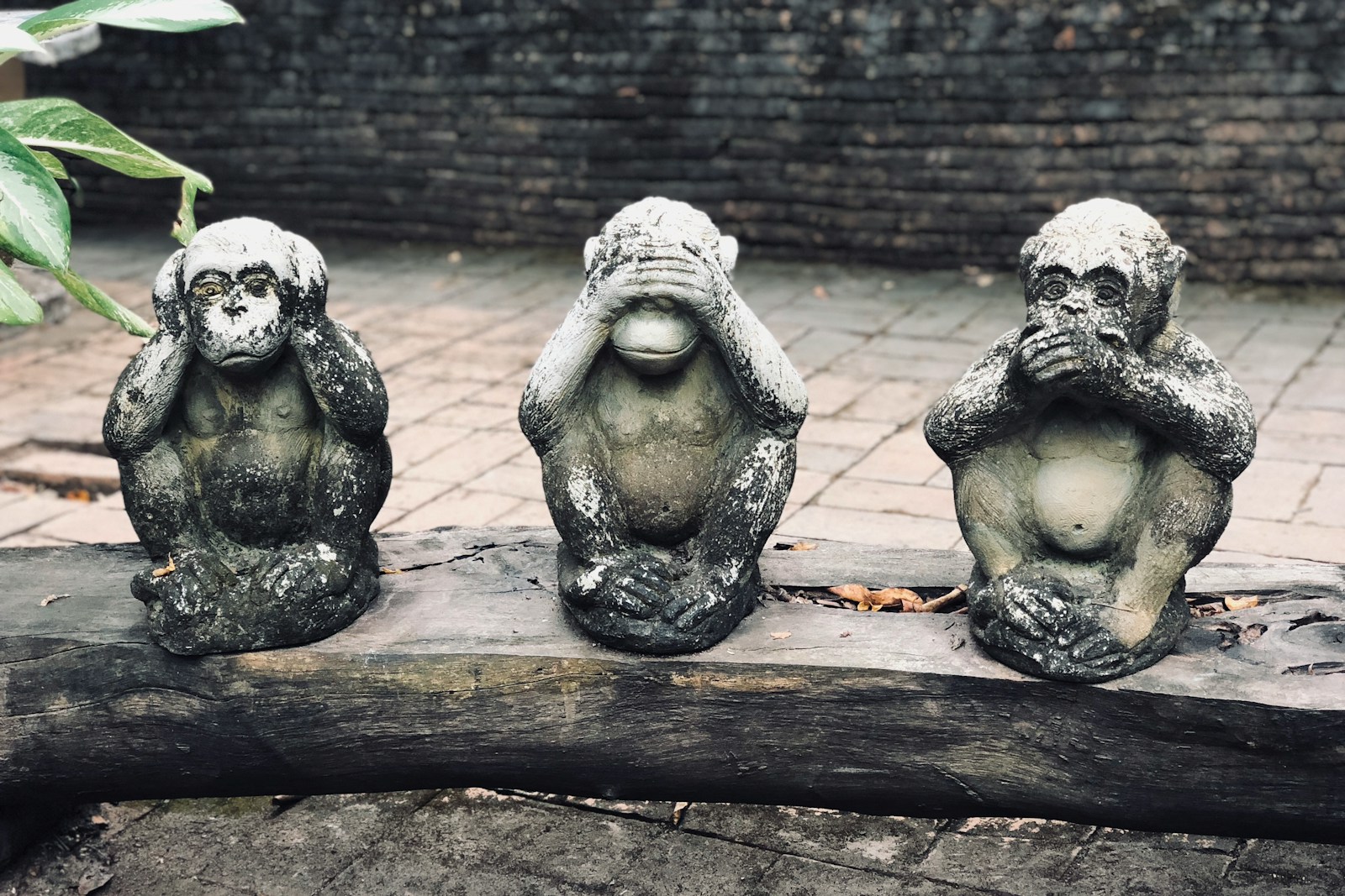 see, hear, speak no evil monkeys