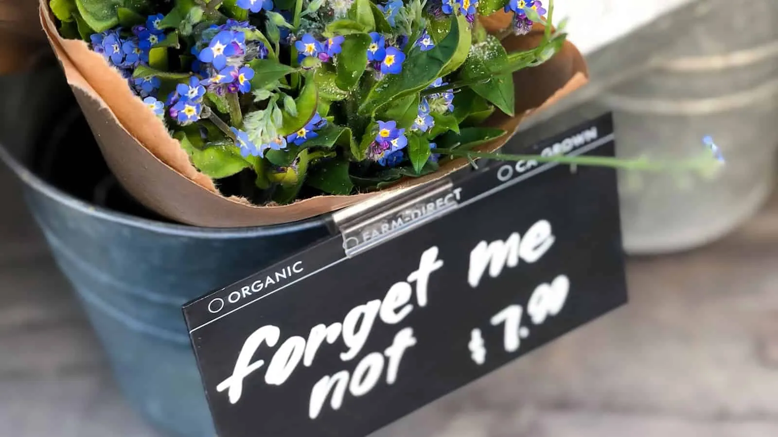 Forget me not