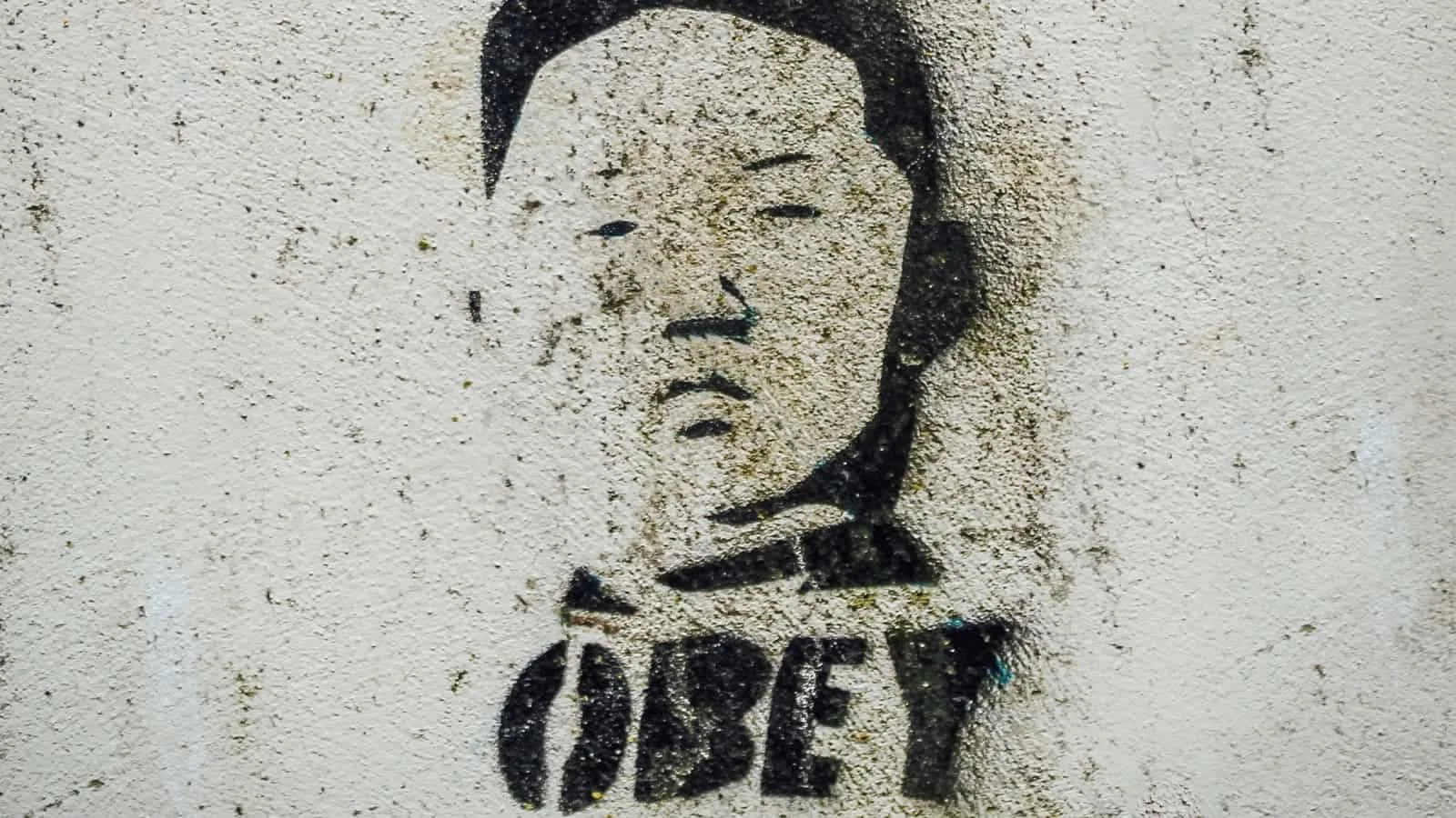 Obey