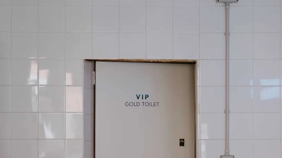 vip