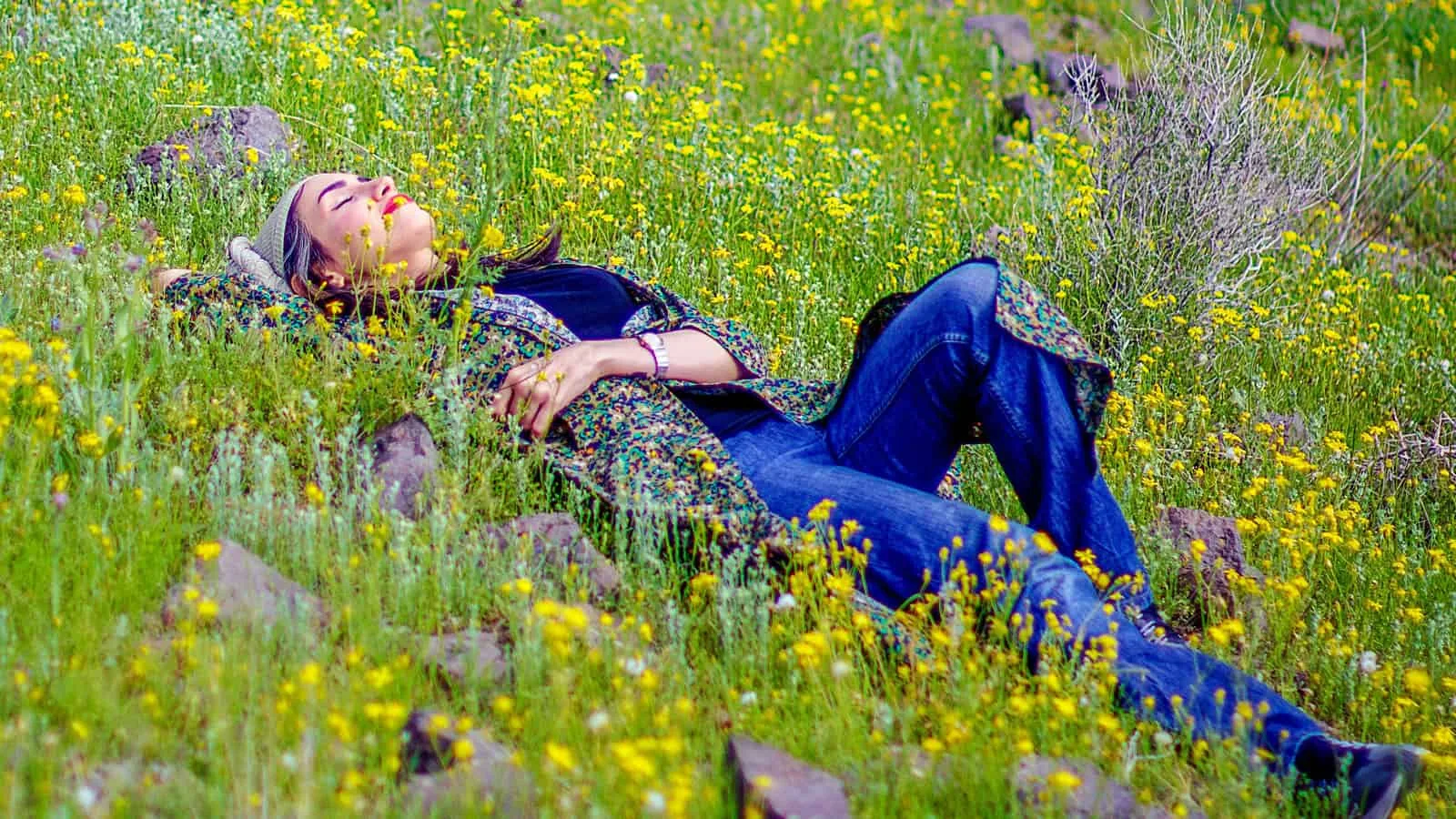 Laying in the field