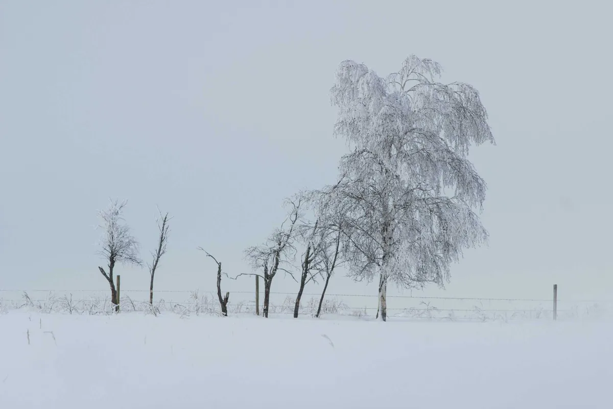 Minnesota winter snowstorm