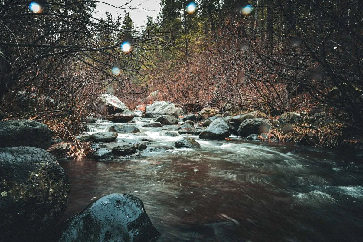 Sherman Buildings — Only dead fish go with the flow 2026 01 scott elkins dxrnslzd5tu unsplash