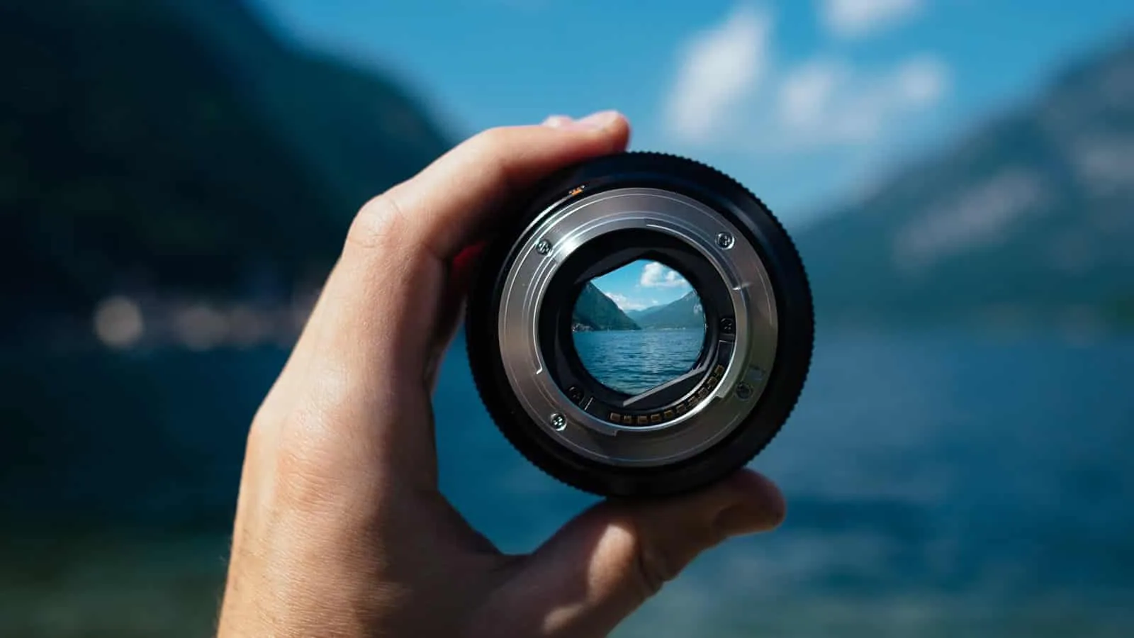 Looking for Real Estate