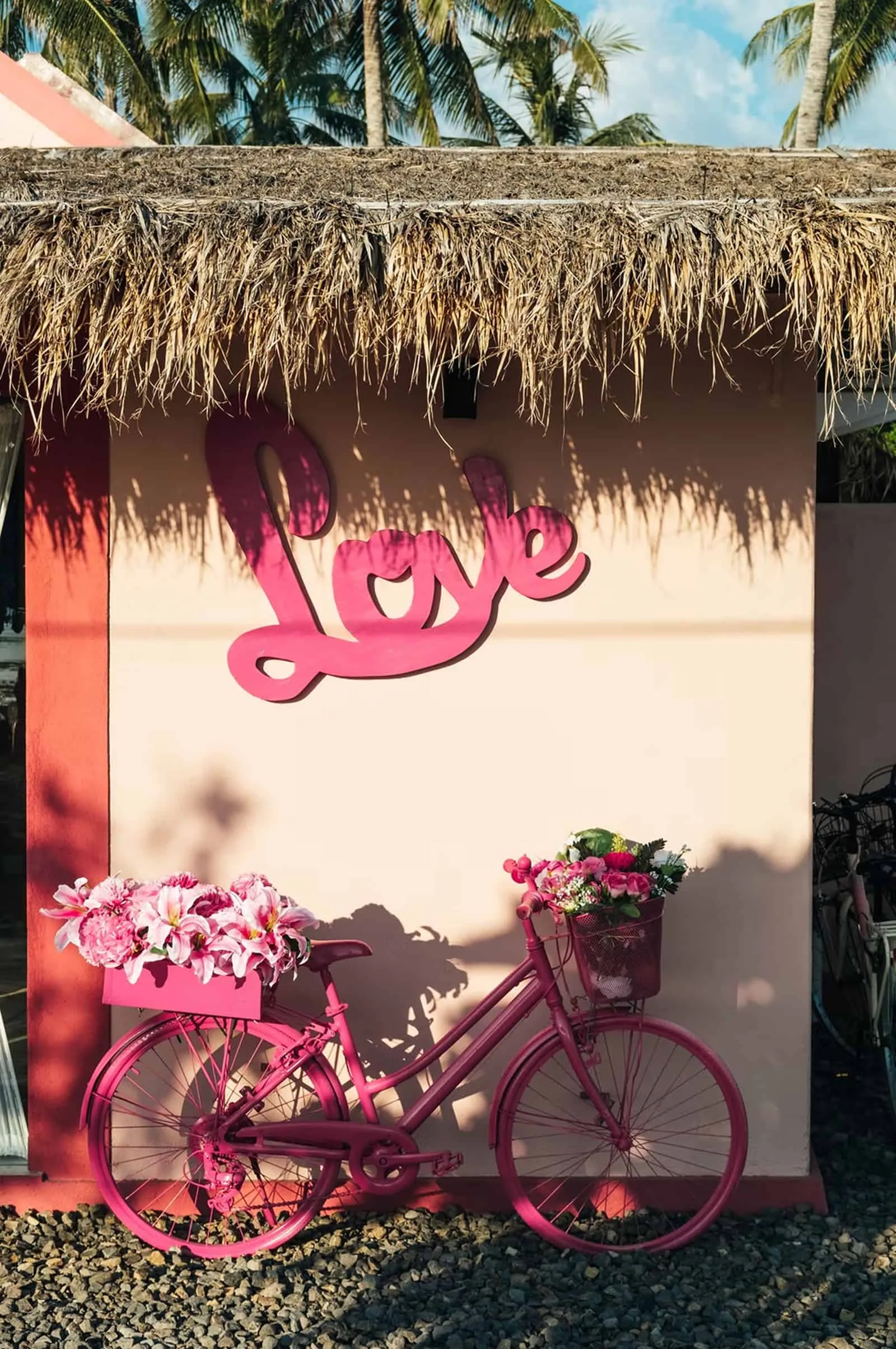 Love Shack Bike