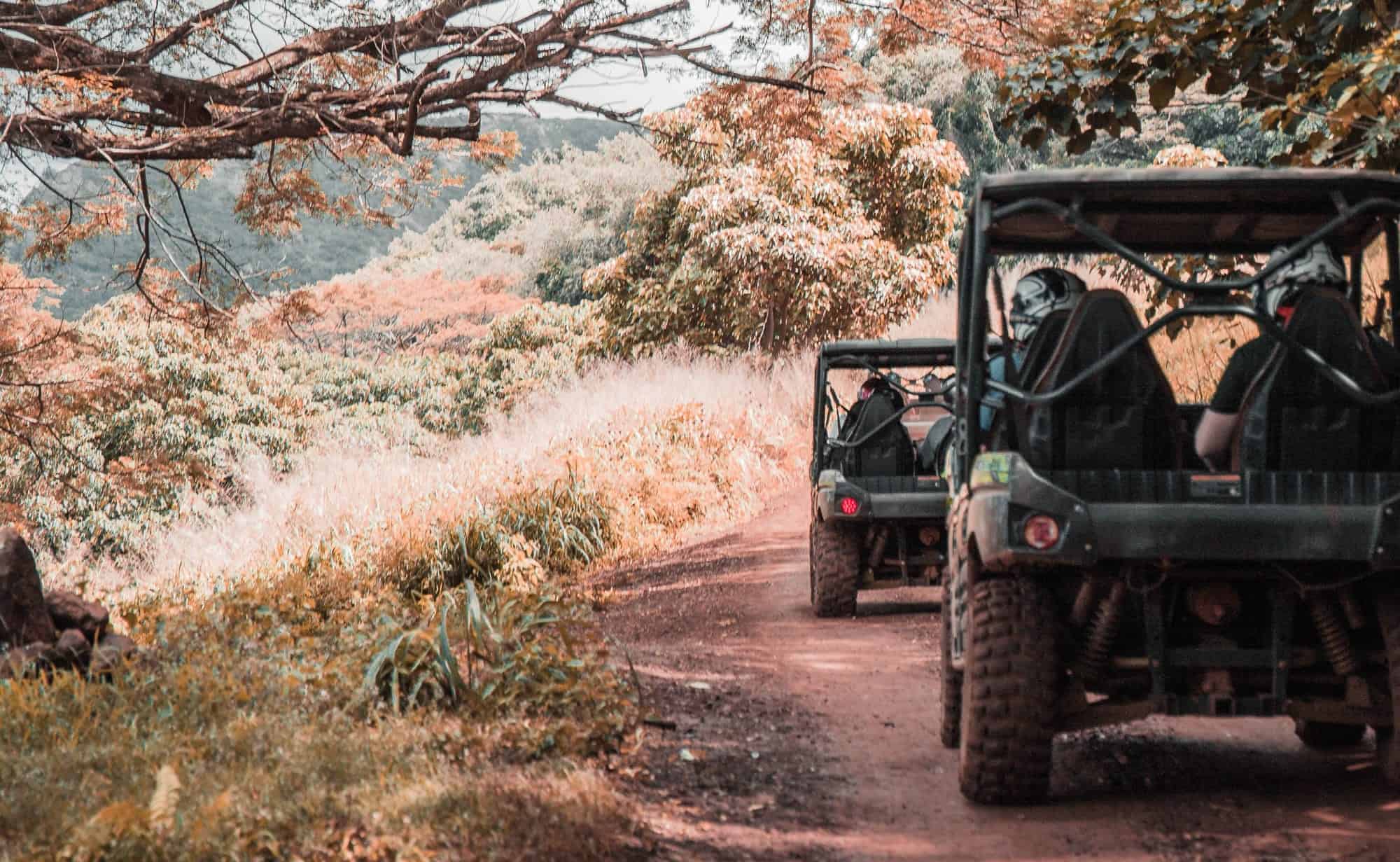 Side by side on trails